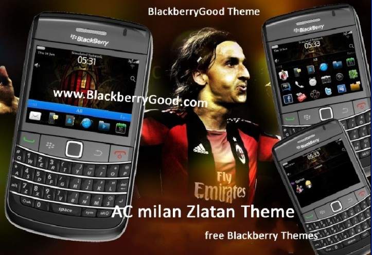 What s in the theme